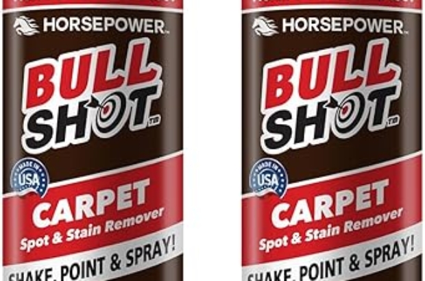 Bull Shot Carpet Cleaner