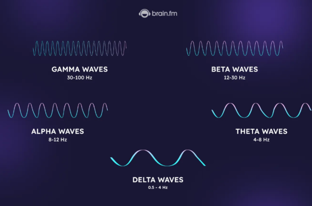 Gamma Brainwaves